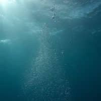 Parents of 10-Year-Old Autistic Tahfin Chowdhury May Have Wrongful Death Case Against Turtle Cay in Riviera Beach Drowning